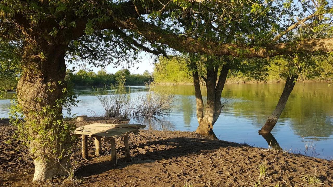 Guest House Studio Apartman Marina - With Jacuzzi, Free Parking, Pet Friendly Karlovac Εξωτερικό φωτογραφία